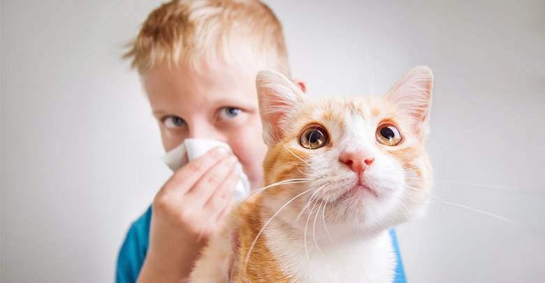 حیوانات خانگی مناسب برای کودکان مبتلا به آسم و آلرژی