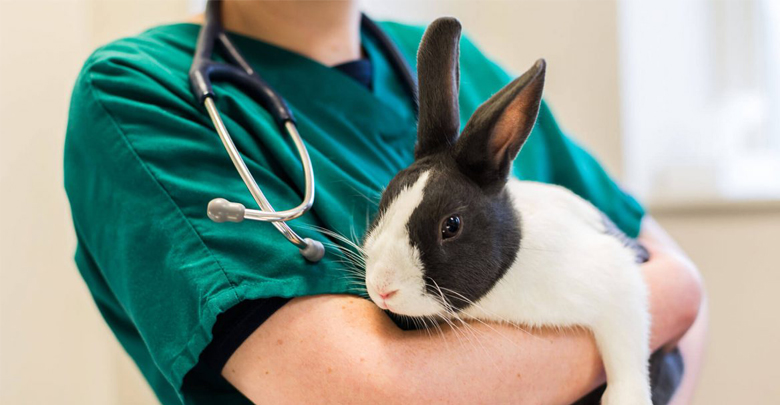 واکسیناسیون در خرگوش ها