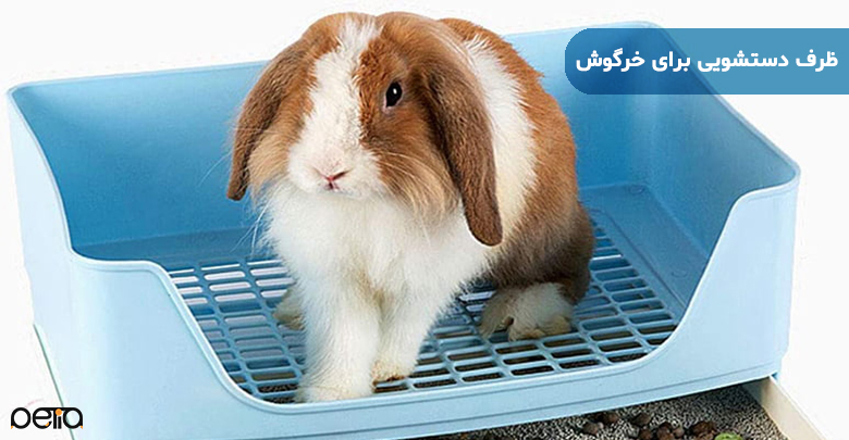 تصویر خرگوش و ظرف دستشویی برای خرگوش