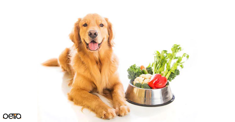 سبزیجات تازه برای سگ ها