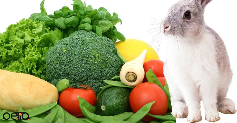سبزیجات مورد نیاز در رژیم غذایی خرگوش