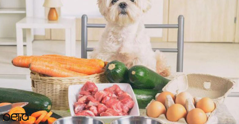 غذاهای مشترک انسان و سگ