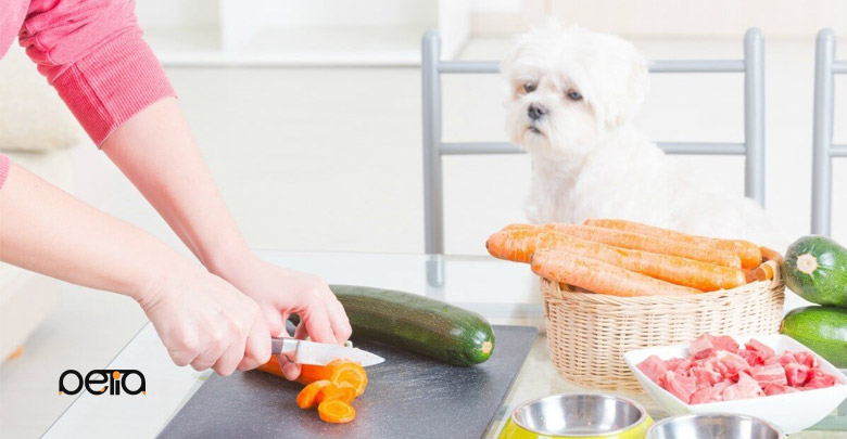 رژیم غذایی سگ دیابتی