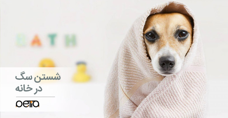 شستن سگ در خانه - شستشوی حیوان خانگی